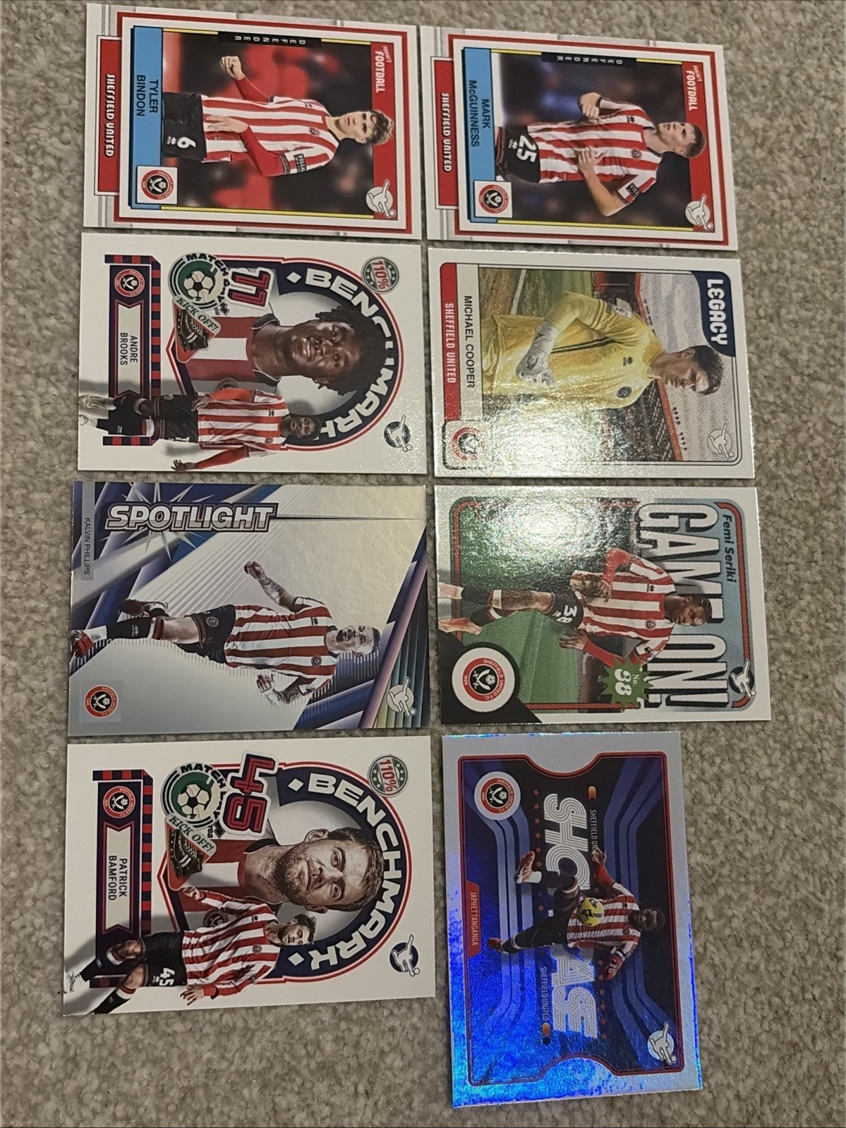 Panini Football Sheffield United Efl Base Card Bundle