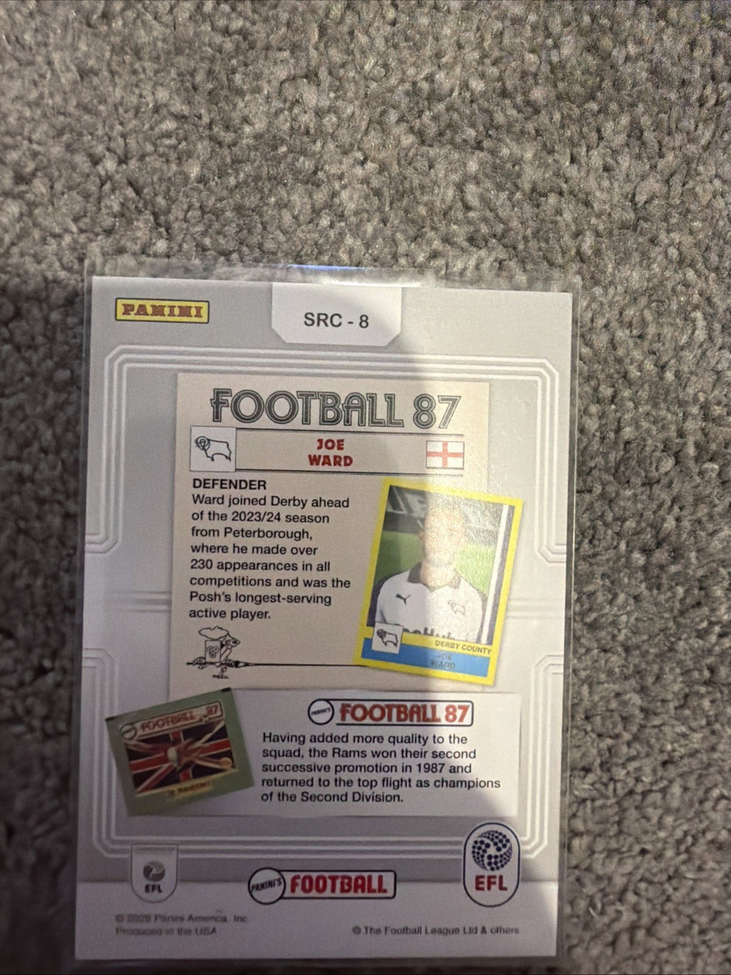Panini Football - EFL Championship - Joe Ward Sticker - Derby