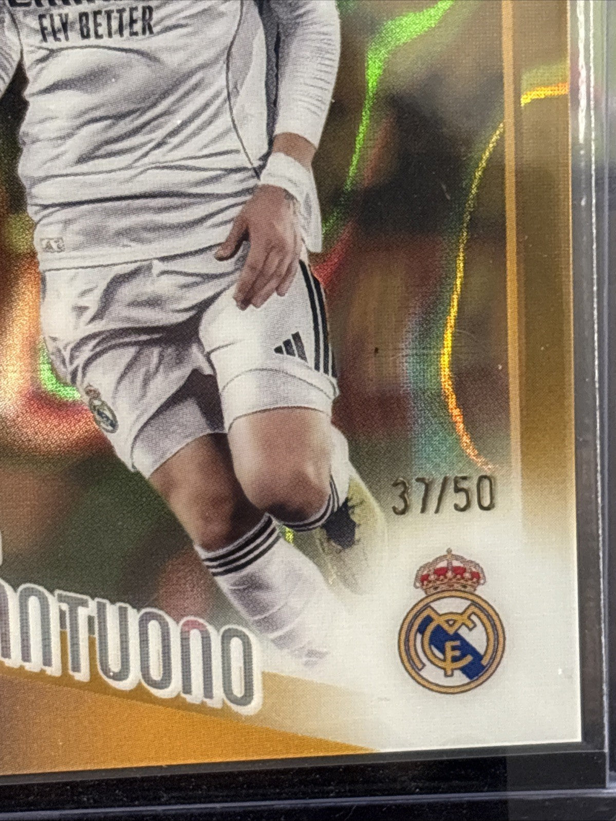Franco Mastantuono 2025-26 Topps UCC Chrome  #172 Gold /50 Rookie RC