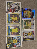 Panini Efl Norwich City Base And Insert Bundle