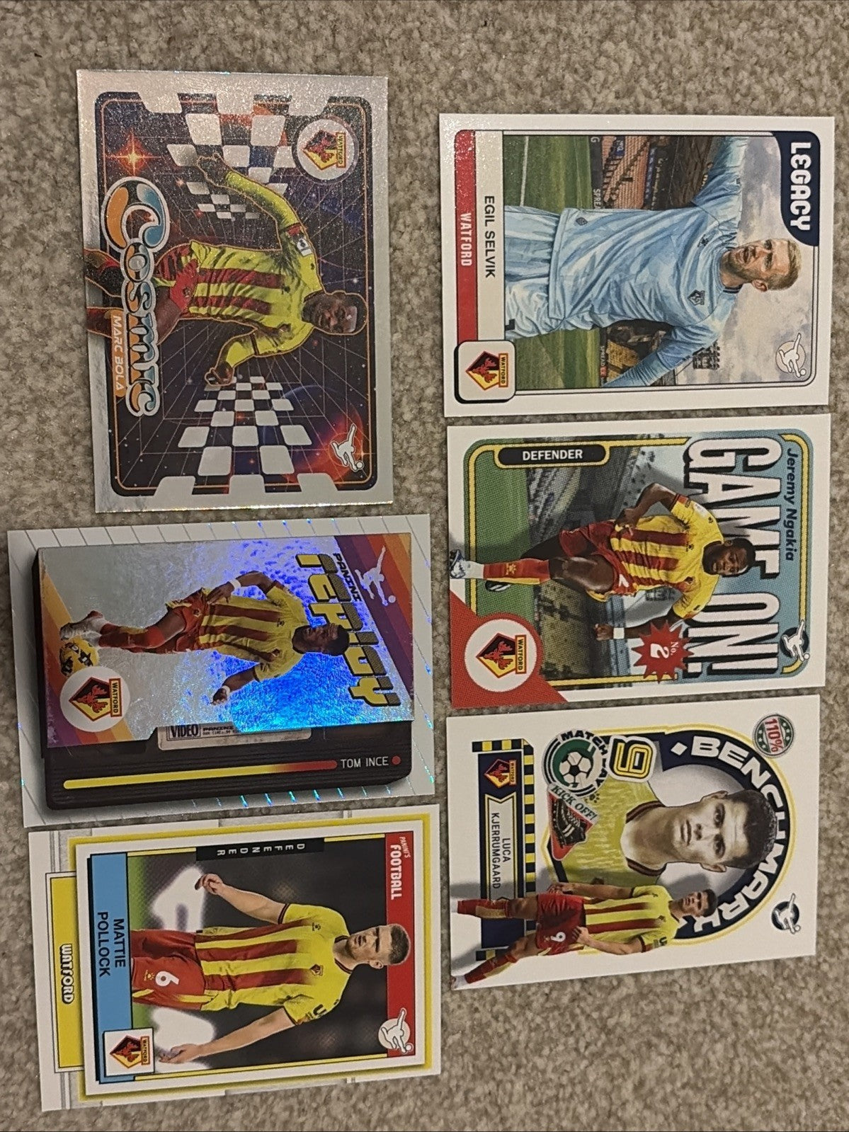 Panini EFL Trading Cards 25/26 Watford Base And Insert Bundle